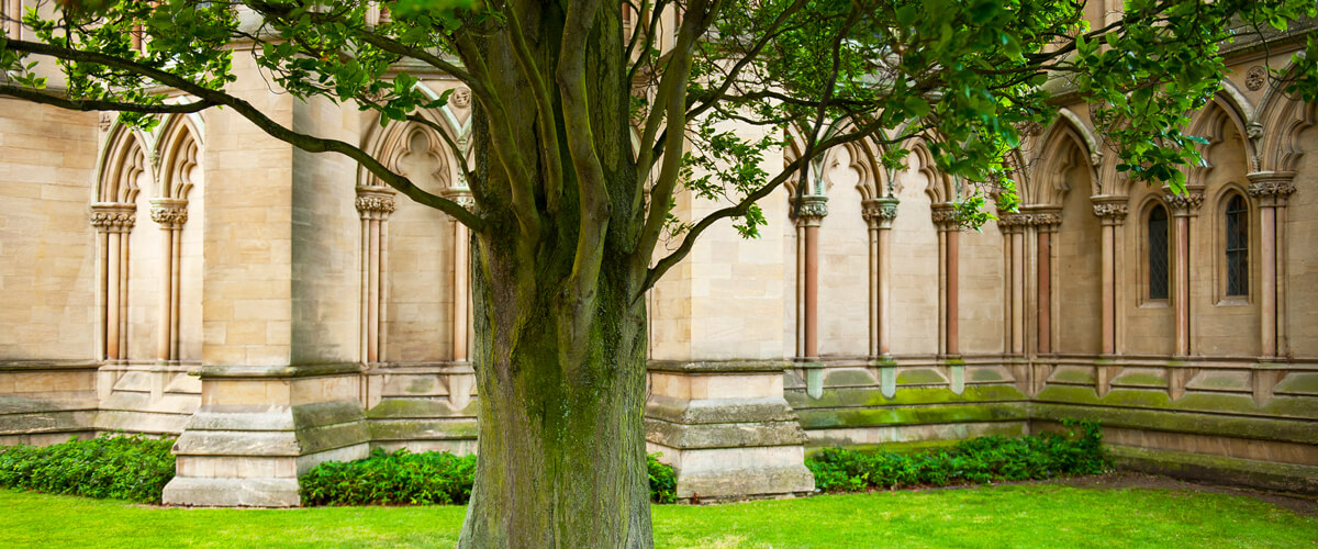 University courtyard